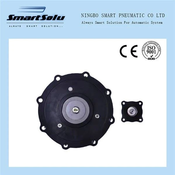 Solenoid Pulse Valve Diaphragm Kho Cov Khoom Siv
