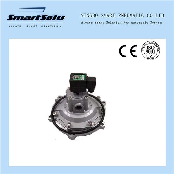 Immersion Hom Solenoid Aluminium Pulse Valve